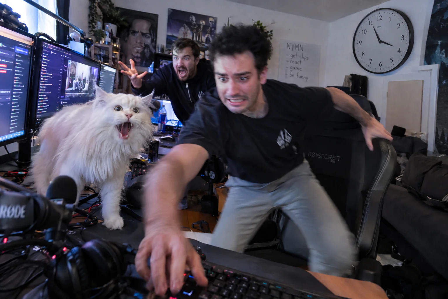 A panicked livestreamer lunges toward a computer in a cluttered streaming room as a fluffy white cat yowls on the desk, another person gestures urgently, and a large wall clock looms behind them.